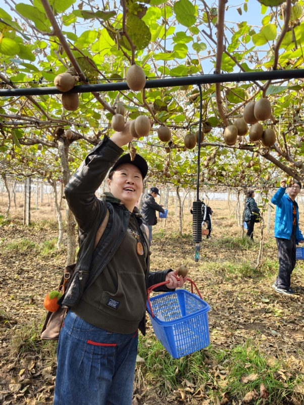 夜莺的第四张照片--青岛王婆说媒